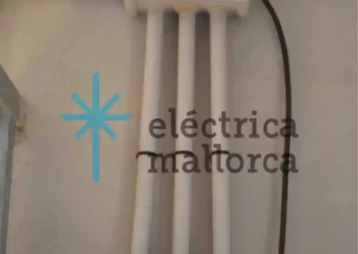 Centro Canino