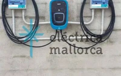 Dual Vehicle Charger