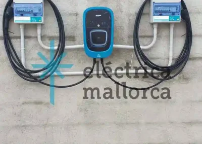 Cargador para dos Vehículos