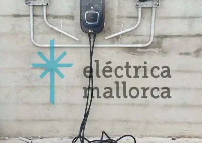 Cargador para dos Vehículos