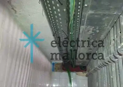 Cargador para dos Vehículos