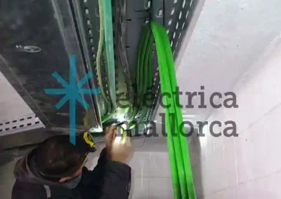 Cargador para dos Vehículos