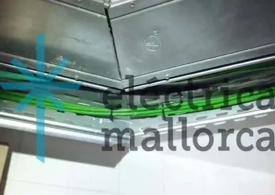 Cargador para dos Vehículos