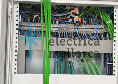 Cargador para dos Vehículos