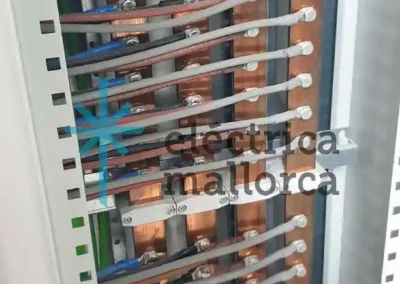 Cargador para dos Vehículos