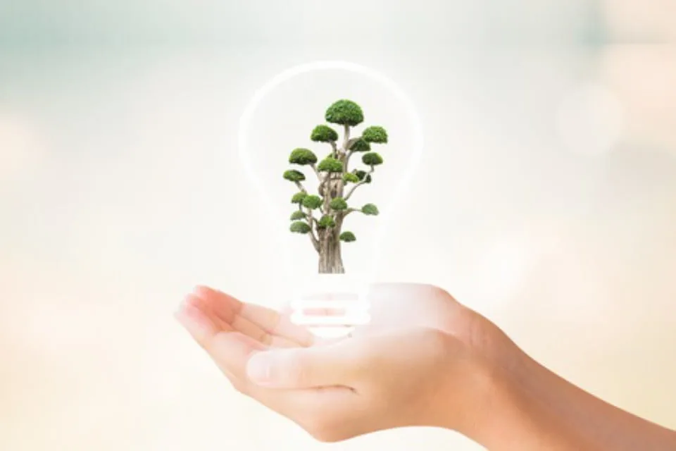 Electrical Mallorca Energy Saving